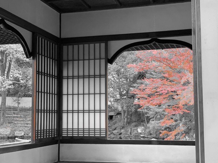 紅葉の赤だけを残した作例
